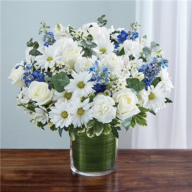 95409m_HR_fd_05_25_17